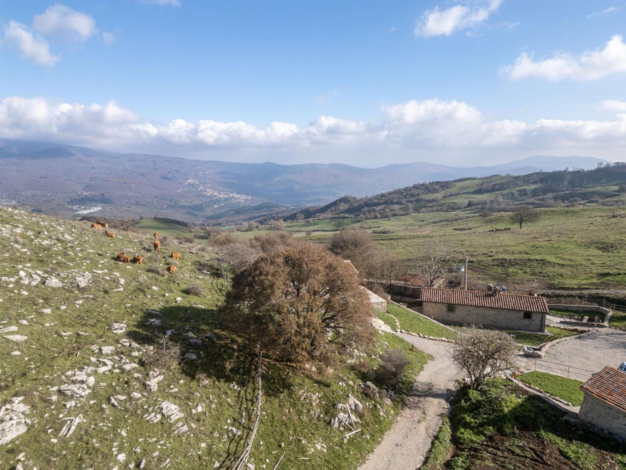 Holiday Home Acqua By Interhome Arcidosso Esterno foto